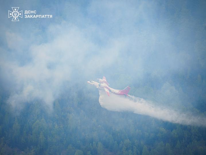 В двох областях України приборкали масштабні пожежі на території лісництв, – ДСНС