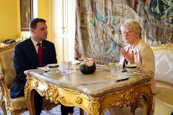 Глави МЗС Чехії та РФ