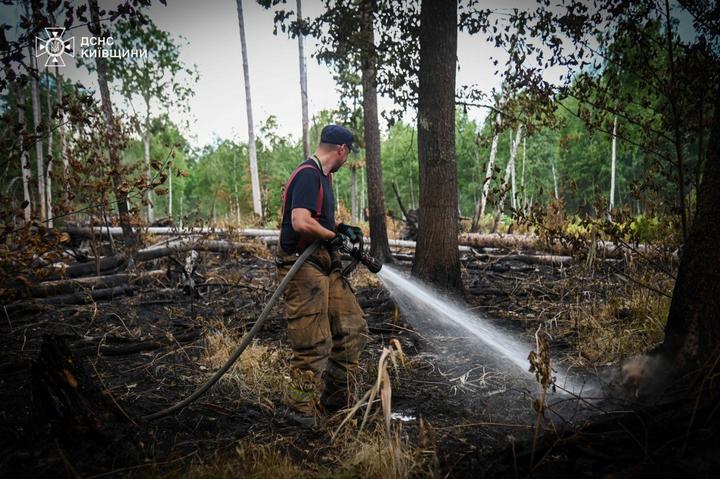 Чорнобиль Тушіння пожежі в Чорнобильській зоні відчуження