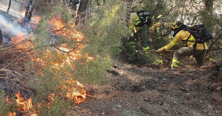 Українські вогнеборці допоможуть Франції гасити лісові пожежі