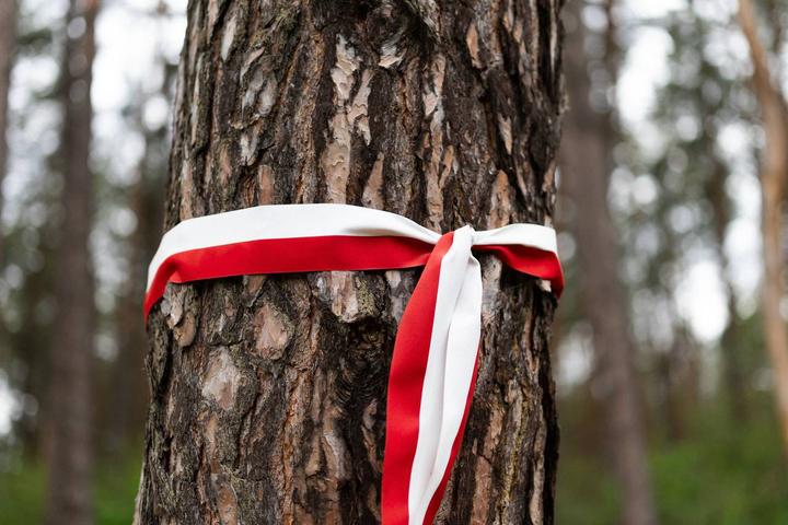 “Бандера – це привід”: чому Польща погрожує Києву через Український національний пантеон