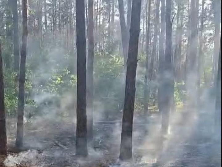 У Голосіївському районі столиці вилучили уламки збитого російського БпЛА