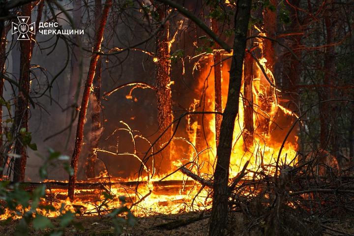 100 гектарів лісу у вогні: на Черкащині ліквідовують масштабну пожежу