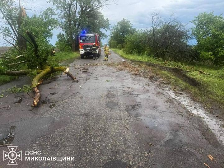 Розчищання проїжджої частини дороги