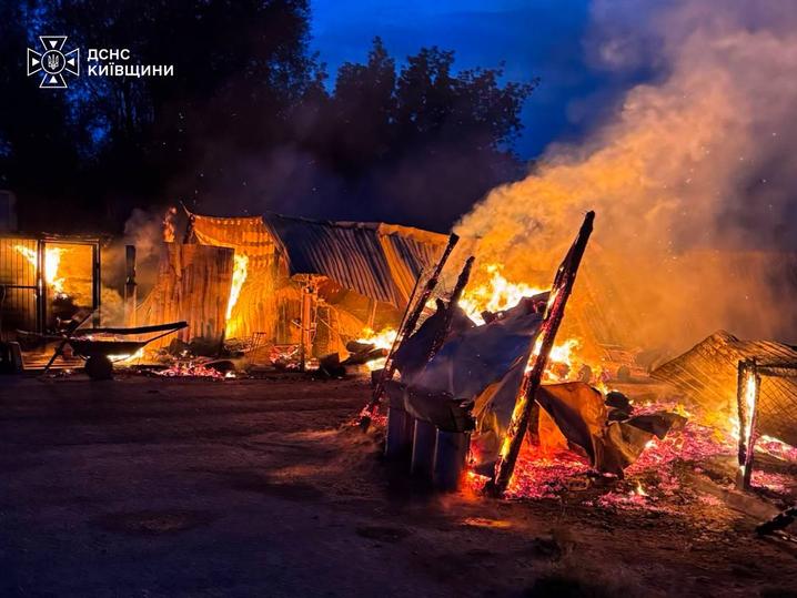 На Київщині спалахнула пожежа у притулку для тварин: загинули собаки