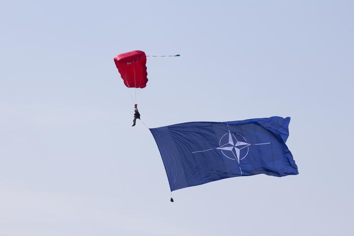 “An Ineffective Structure”: Former Foreign Minister Ogryzko Criticized NATO and Called for the Creation of a New Alliance