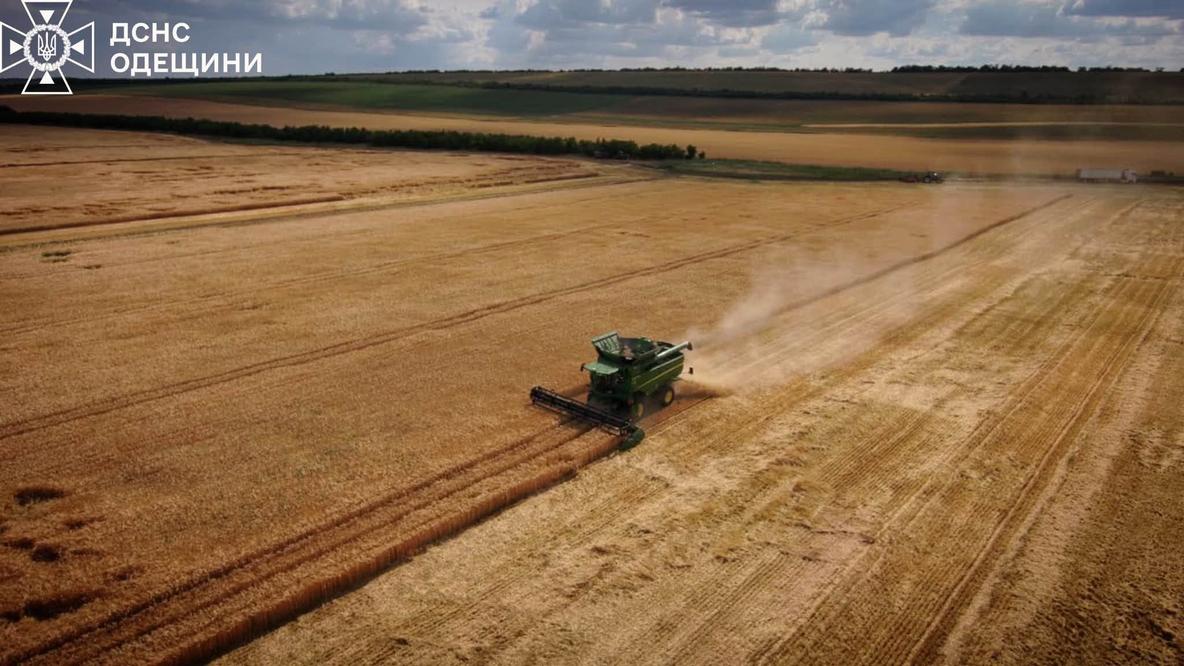 Блокада “зернового коридору” України: “Шелтер” опитав експертів про наслідки, прогнози та варіанти виходу із ситуації