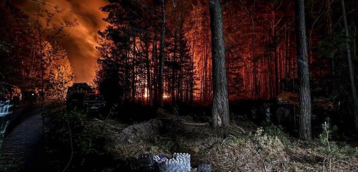 Пожежа у Чорнобильскій зоні