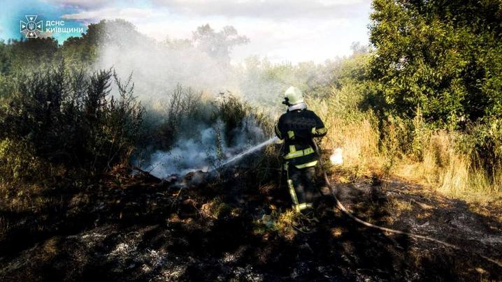 На Київщині під час пожеж в екосистемі загинув чоловік