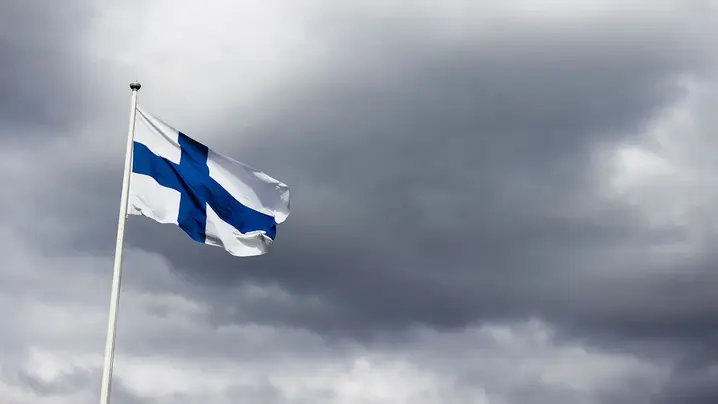 Russia is carrying out large-scale deforestation near the border with Finland to build military bases