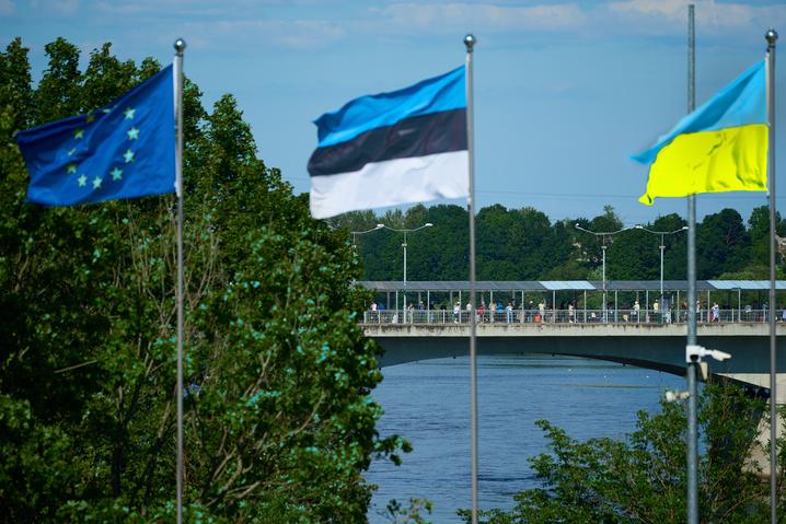 Втома від війни та репутаційні скандали: в Естонії значно скоротилися пожертви Україні