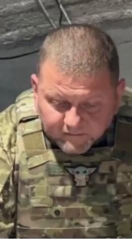 Валерій Залужний показав свою колекцію Baby Yoda