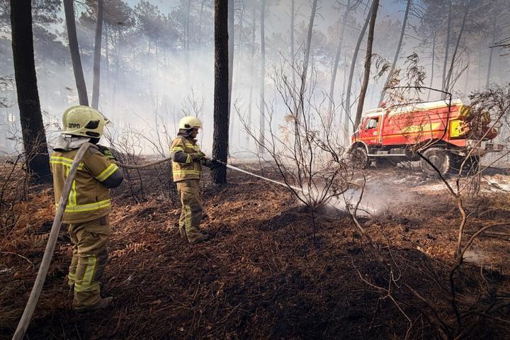 Українські рятувальники у Франції зупинили лісову пожежу, яка загрожувала населеному пункту, – ДСНС
