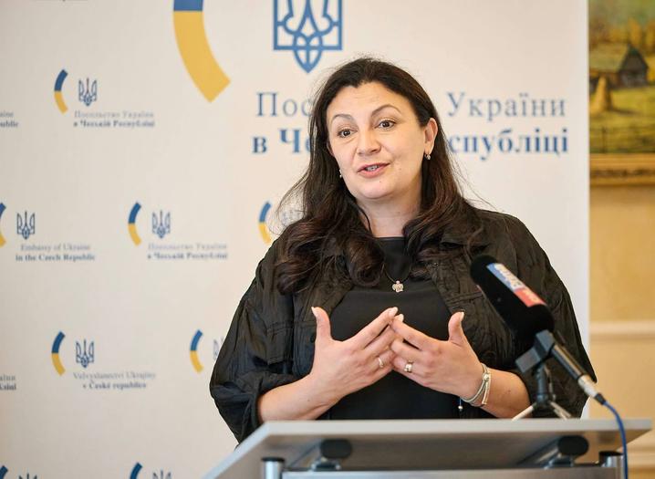 “Ми втрачаємо критичний час”. Інтерв’ю “Шелтера“ з Климпуш-Цинцадзе про новий уряд, євроінтеграційні закони і план “Качка-Кос”