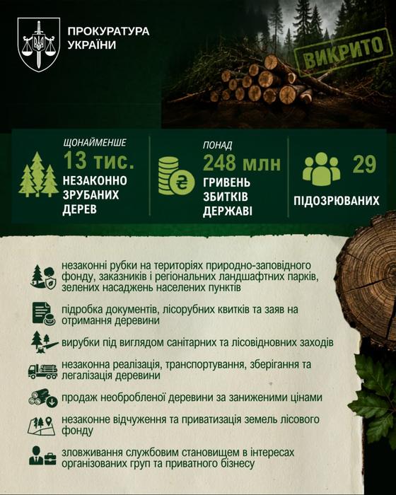 Незаконна вирубка лісів