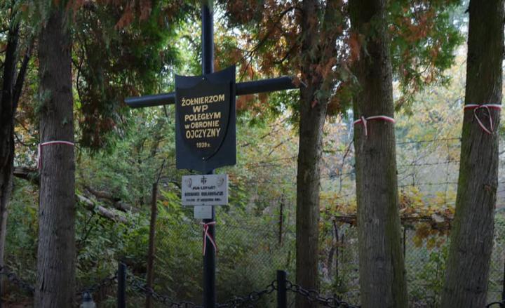 У Львові розпочали ексгумацію польських солдат на старому Голосківському кладовищі