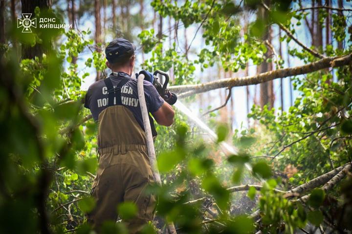 Чорнобиль Тушіння пожежі в Чорнобильській зоні відчуження