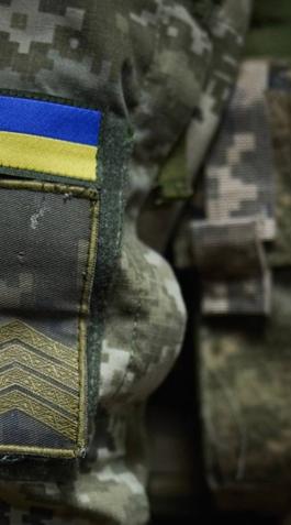 Військові врятували лелеку, що застряг під антидроновою сіткою