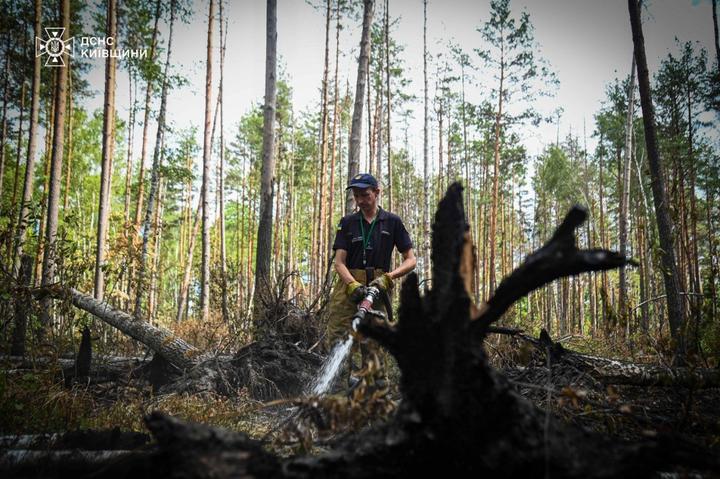 Чорнобиль Тушіння пожежі в Чорнобильській зоні відчуження