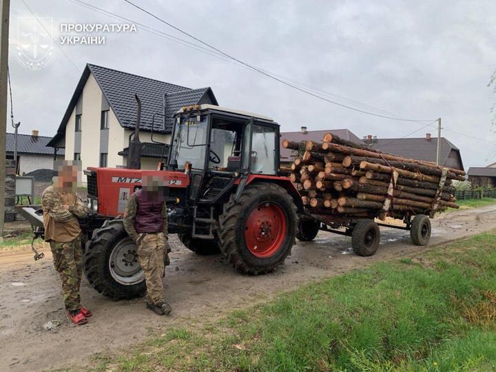 Незаконна вирубка лісів
