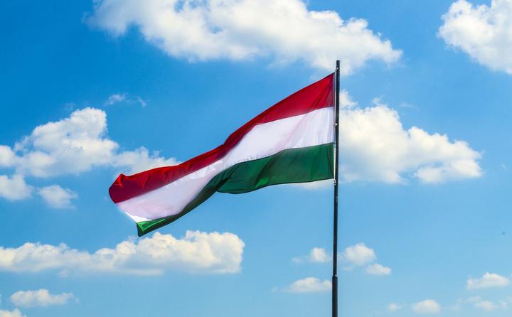 “Не допустити повторення історії Віктора Орбана”: що обіцяє Петер Мадяр після перемоги