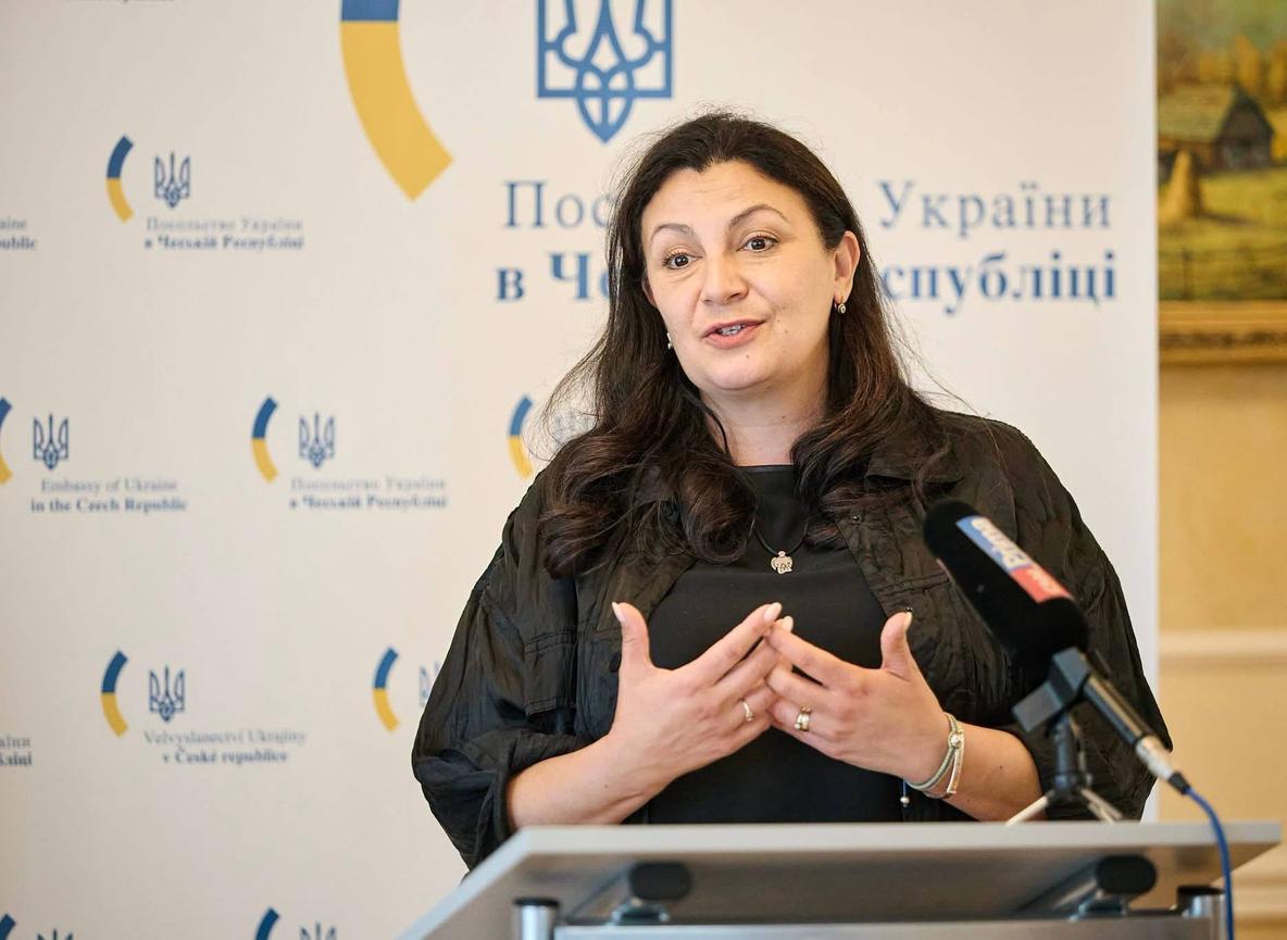 “Ми втрачаємо критичний час”. Інтерв’ю “Шелтера“ з Климпуш-Цинцадзе про новий уряд, євроінтеграційні закони і план “Качка-Кос”