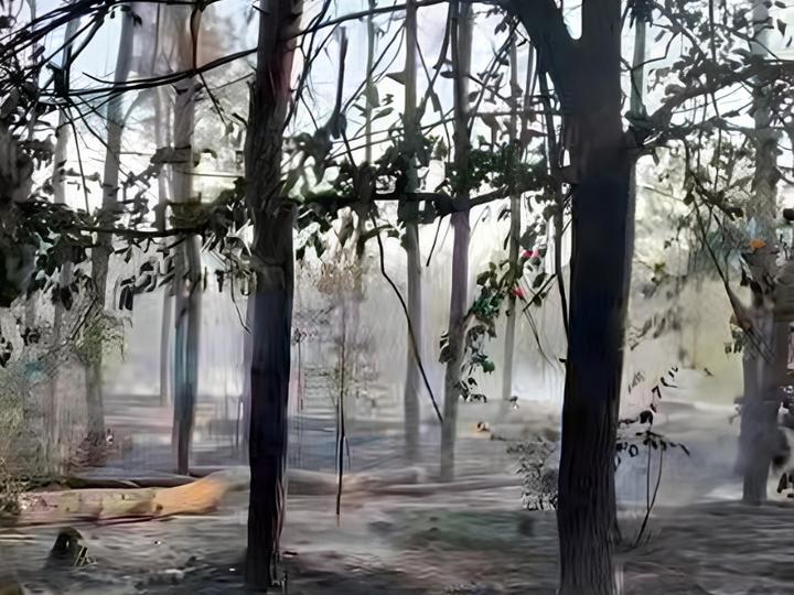 Russian crimes in the Dnipropetrovsk region: One person killed and 15 injured in an explosion