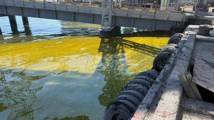 Після російського обстрілу в Чорноморську в акваторії порту зафіксовано розлив соняшникової олії