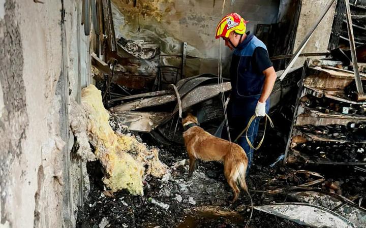 У Кривому Розі четверту добу тривають пошуки зниклих: до робіт залучили собак