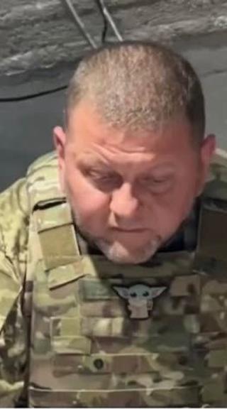 Валерій Залужний показав свою колекцію Baby Yoda