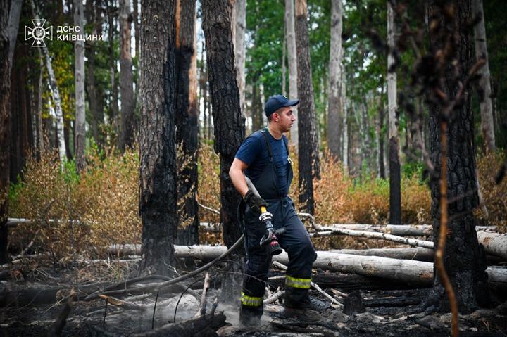 Чорнобиль Тушіння пожежі в Чорнобильській зоні відчуження