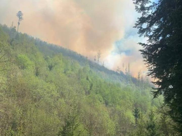 На Закарпатті сталася масштабна пожежа: горять ліси площею близько 75 гектарів 