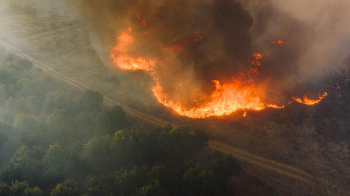 Франція оголосила про арешт 420 людей за підозрами у підпалі лісів, – BBC